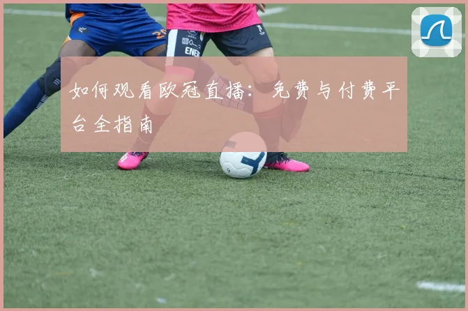 如何观看欧冠直播：免费与付费平台全指南