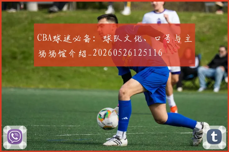 CBA球迷必备:球队文化、口号与主场场馆介绍_20260526125116
