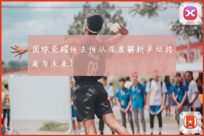 国球荣耀何去何从深度解析乒坛格局与未来！